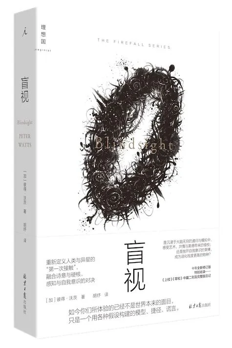 《盲视》之后：I can do it, but how I do it?